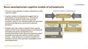 Schizophrenia – Neurobiology and Aetiology – slide 36